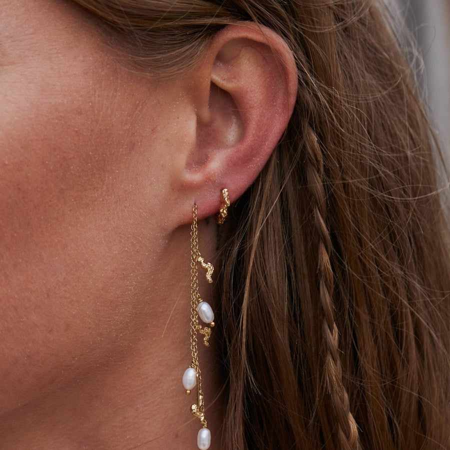 Favia Small Hoops wintherstudio-dk