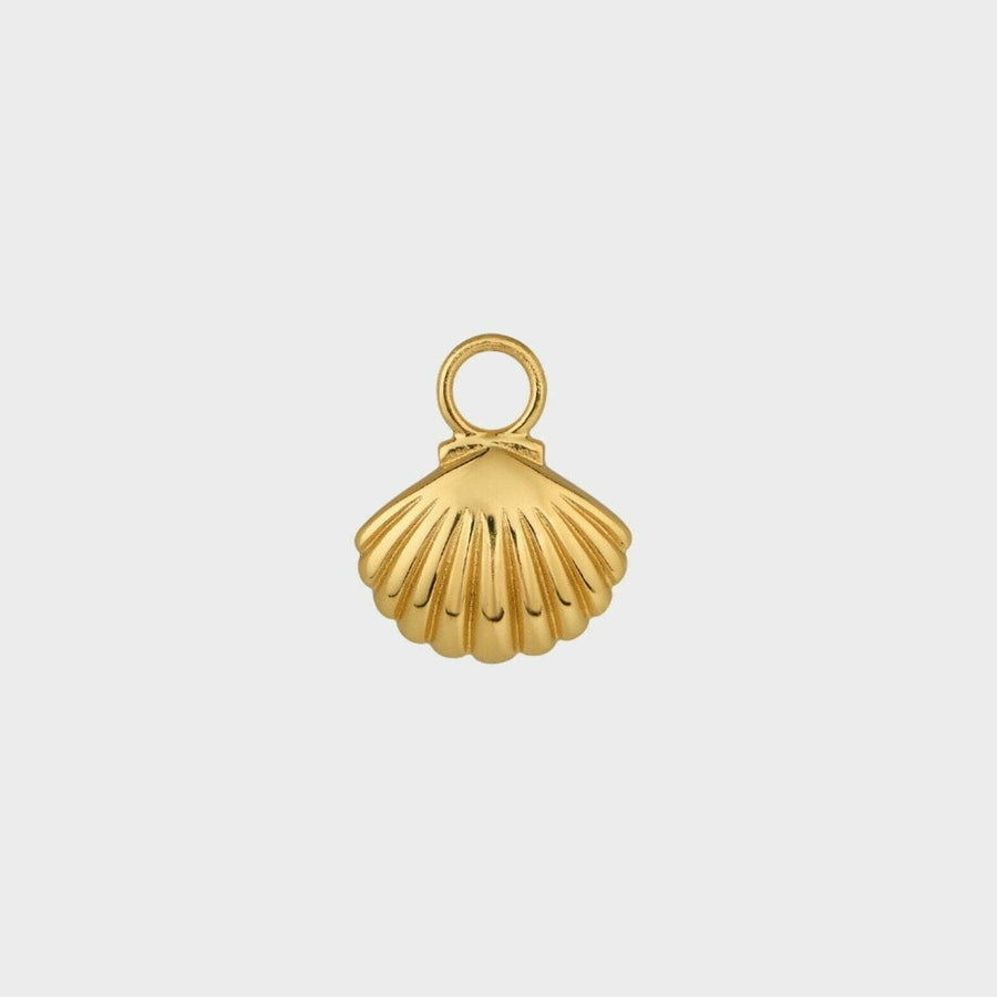 Shell Charm